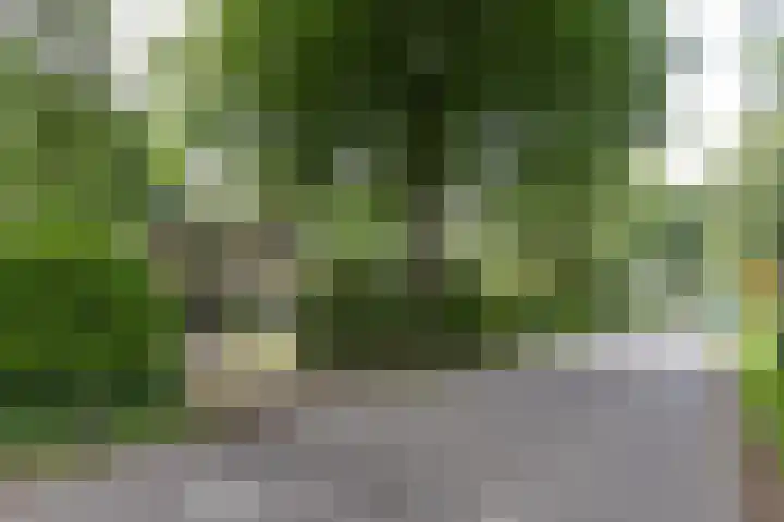 Händellaan 16 Bilthoven thumbnail 52