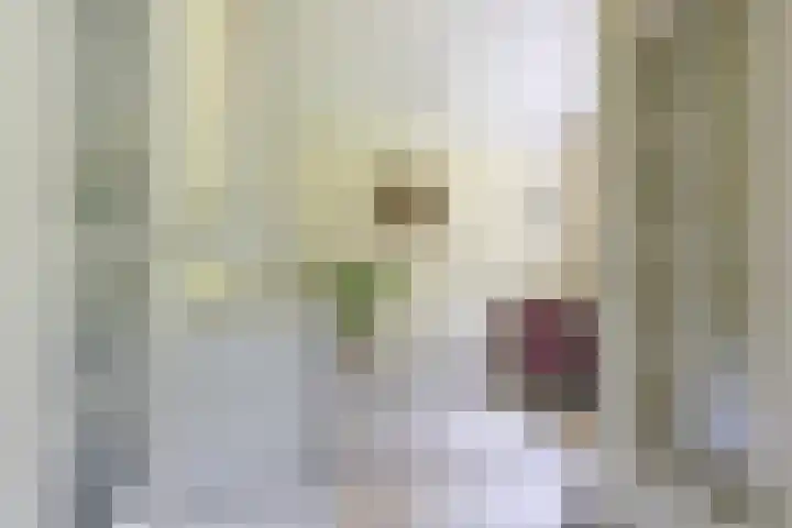 Händellaan 16 Bilthoven thumbnail 9