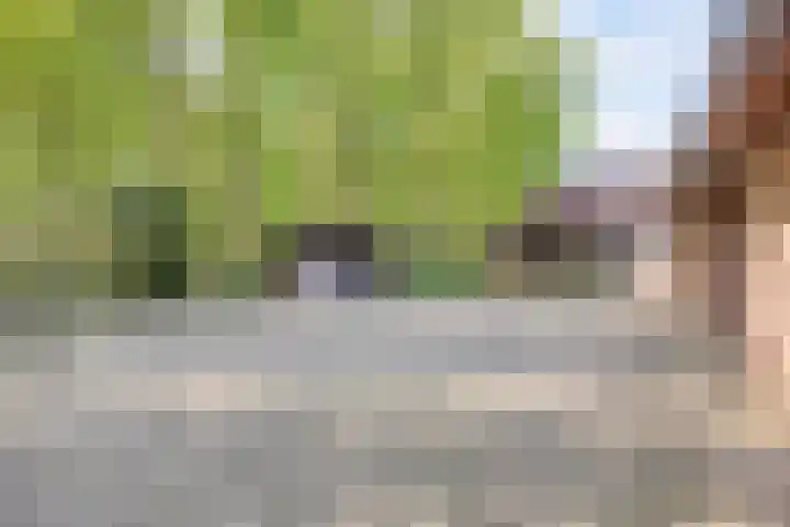 Handelseweg 34 Handel thumbnail 45