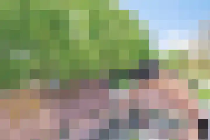 Handelseweg 34 Handel thumbnail 60