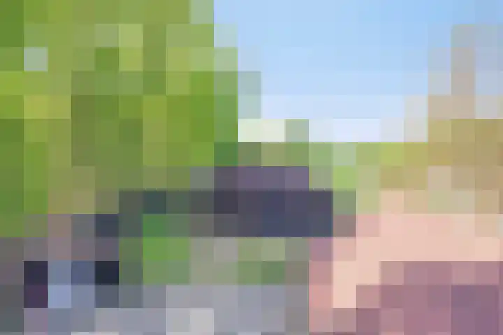 Handelseweg 34 Handel thumbnail 61