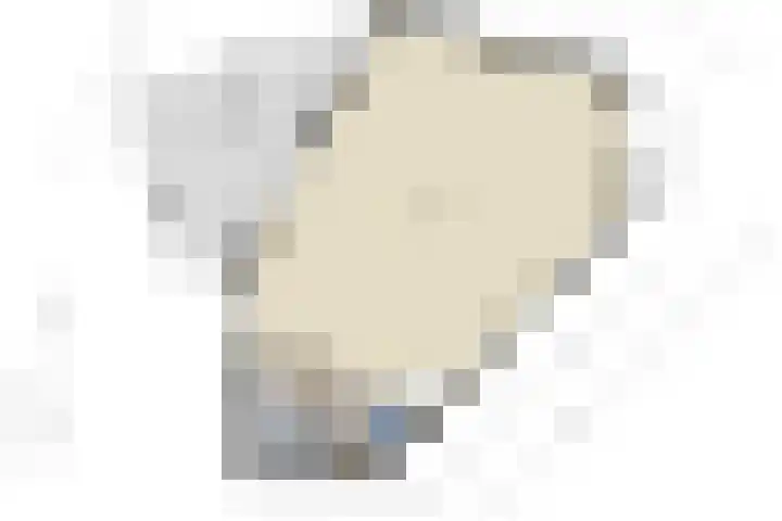 Handelseweg 34 Handel thumbnail 73