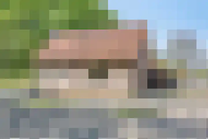 Handelseweg 34 Handel thumbnail 76
