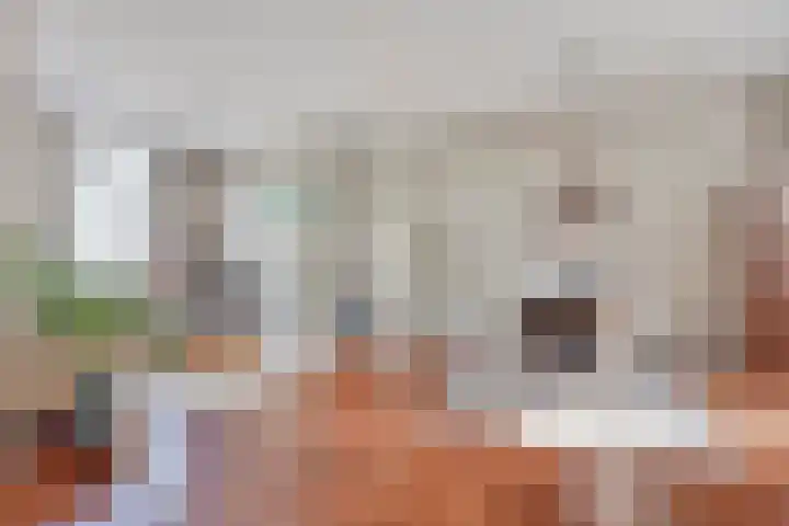 Handelskade 17 's-Hertogenbosch thumbnail 11