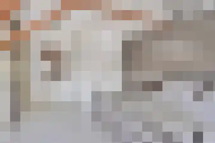 Handelskade 17 's-Hertogenbosch thumbnail 34