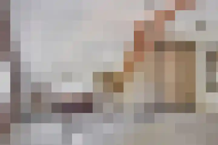 Handelskade 17 's-Hertogenbosch thumbnail 36