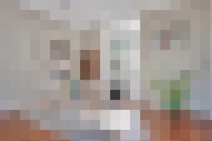 Handelskade 17 's-Hertogenbosch thumbnail 8