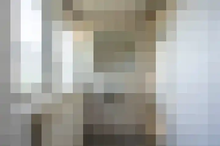 Handvormstraat 3 Culemborg thumbnail 33