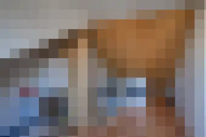 Handvormstraat 3 Culemborg thumbnail 36