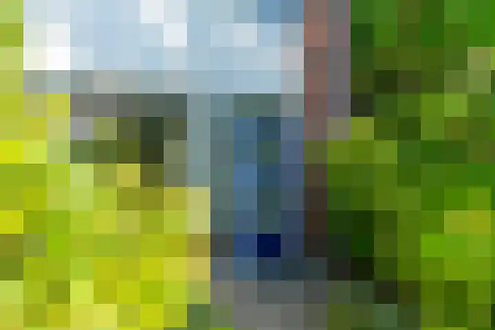 Handvormstraat 3 Culemborg thumbnail 5