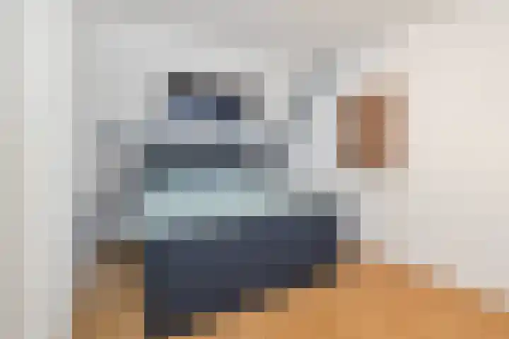 Hanebalk 5 Hoorn thumbnail 28
