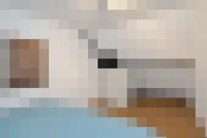 Hanebalk 5 Hoorn thumbnail 29