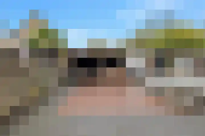 Hanebalk 5 Hoorn thumbnail 33