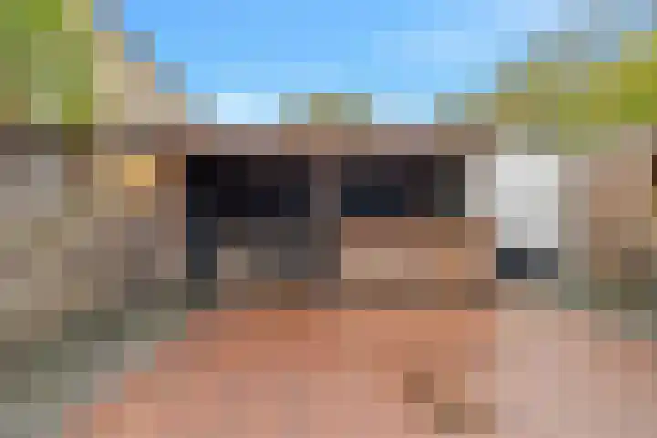 Hanebalk 5 Hoorn thumbnail 35