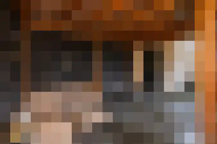 Hanebalk 5 Hoorn thumbnail 36