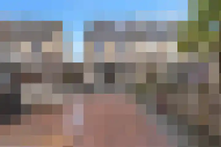 Hanebalk 5 Hoorn thumbnail 37