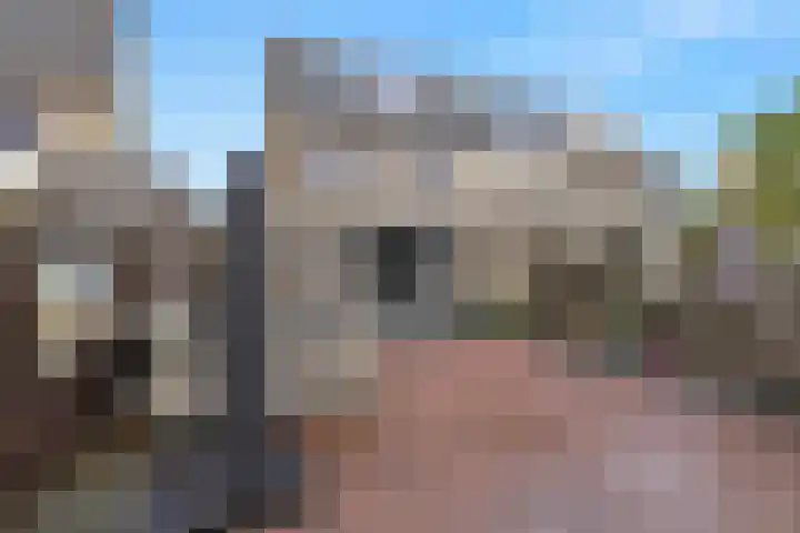 Hanebalk 5 Hoorn thumbnail 39
