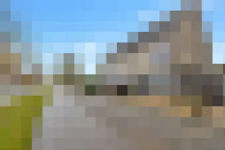 Hanebalk 5 Hoorn thumbnail 4
