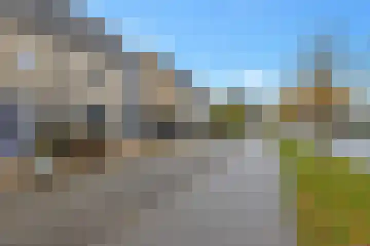 Hanebalk 5 Hoorn thumbnail 5