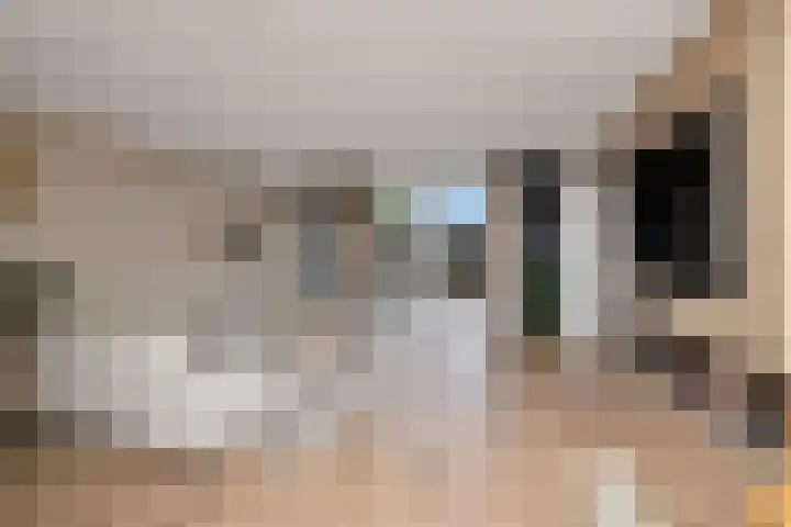 Hanebalk 5 Hoorn thumbnail 7