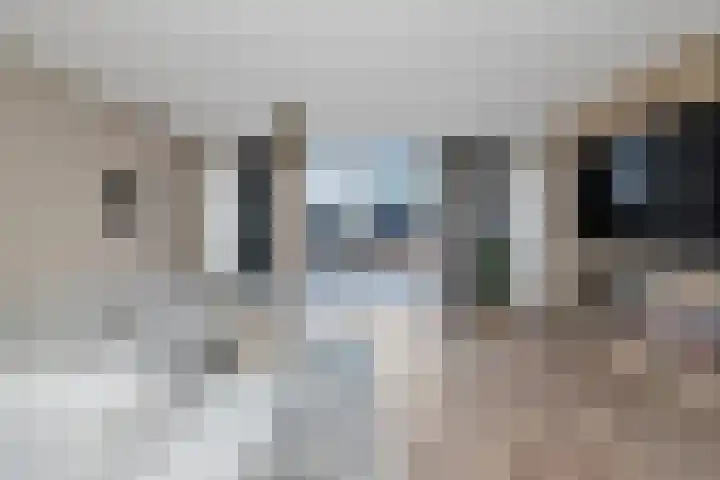 Hanebalk 5 Hoorn thumbnail 8