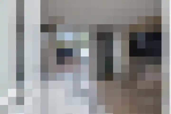 Hanebalk 5 Hoorn thumbnail 9