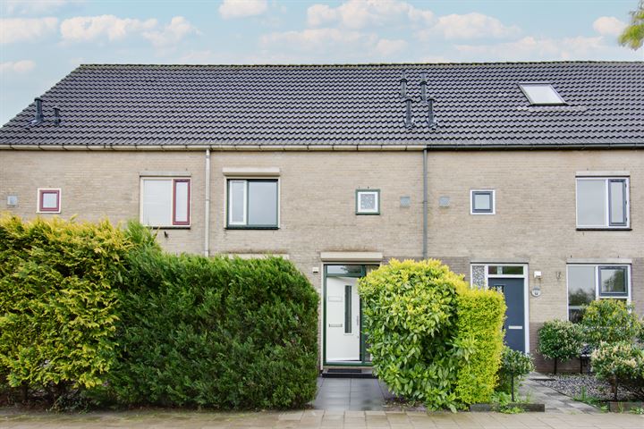 Hanebalk 53 in Hoorn foto