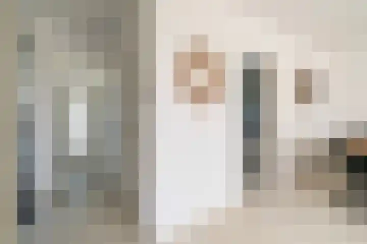 Hanebuert 4 in Tijnje