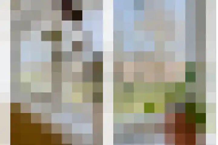 Hanekamp 41 Zwolle thumbnail 19