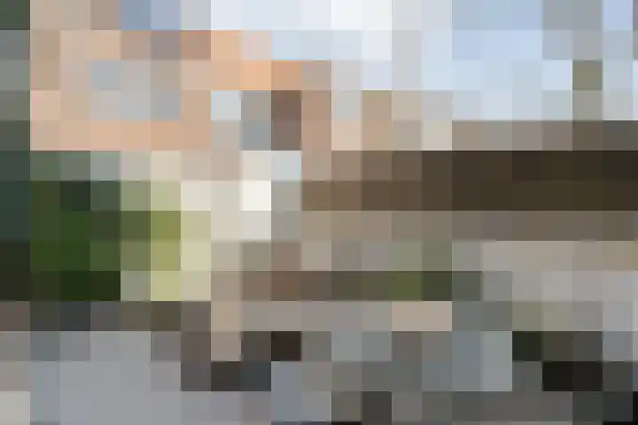 Hanekamp 41 Zwolle thumbnail 31