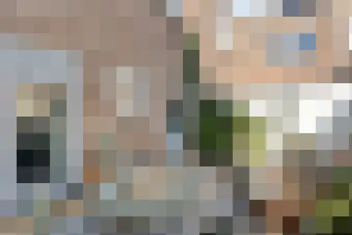 Hanekamp 41 Zwolle thumbnail 32