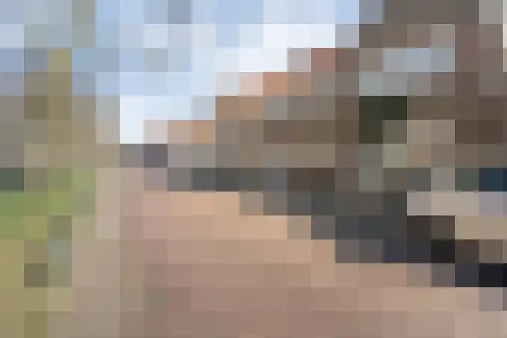 Hanekamp 41 Zwolle thumbnail 35