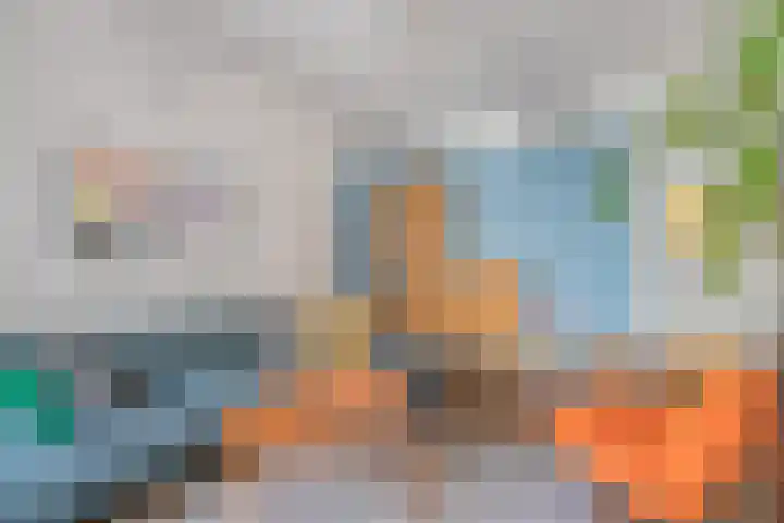 Hanekamp 41 Zwolle thumbnail 9