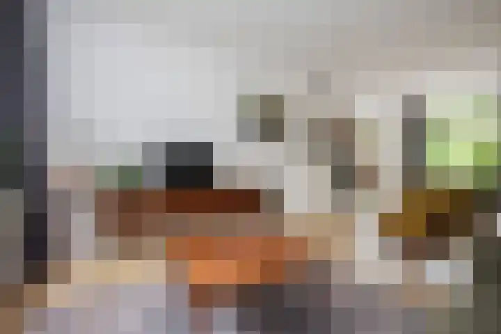 Hanekamp 9 Zwolle thumbnail 10