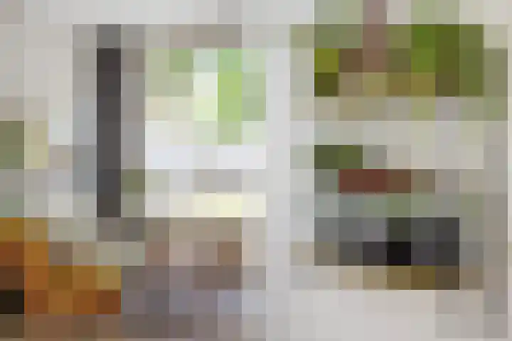 Hanekamp 9 Zwolle thumbnail 13