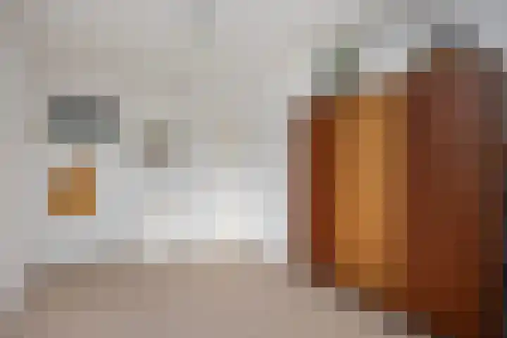 Hanekamp 9 Zwolle thumbnail 21