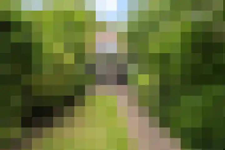 Hanekamp 9 Zwolle thumbnail 27