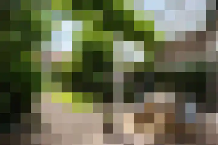 Hanekamp 9 Zwolle thumbnail 28