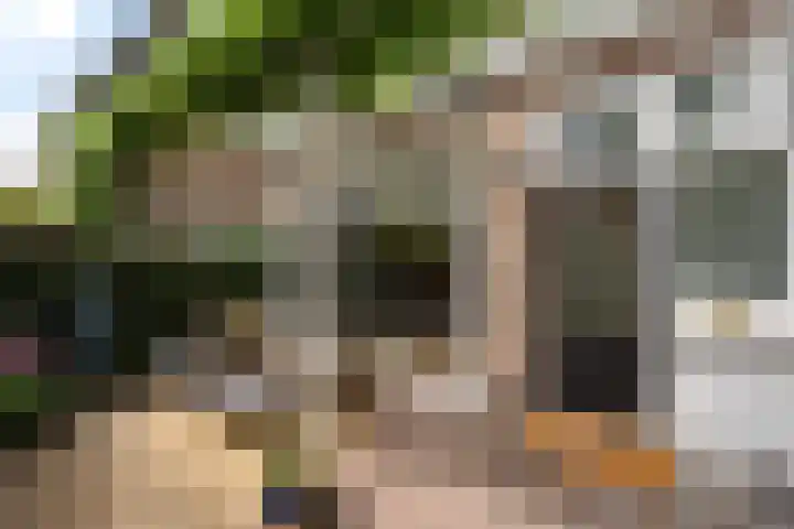Hanekamp 9 Zwolle thumbnail 30