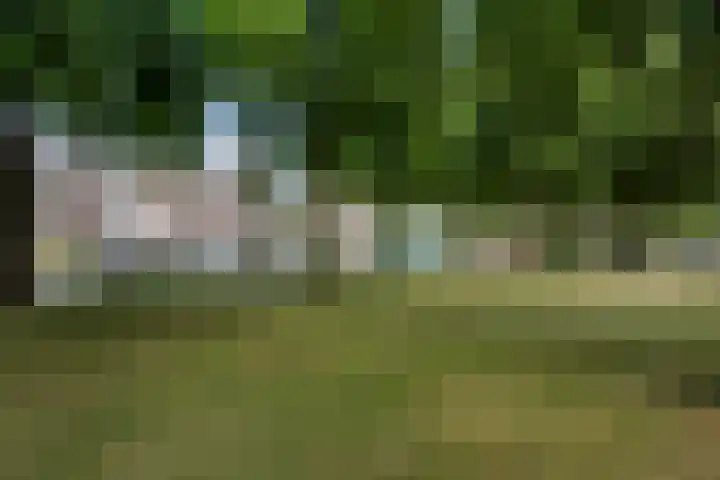 Hanekamp 9 Zwolle thumbnail 31