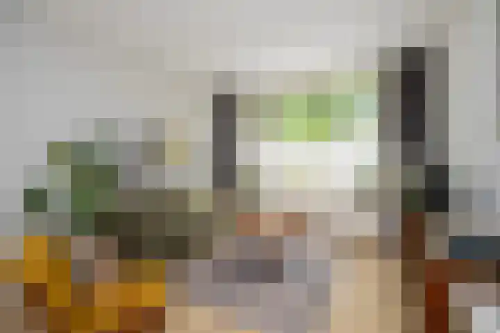 Hanekamp 9 Zwolle thumbnail 9