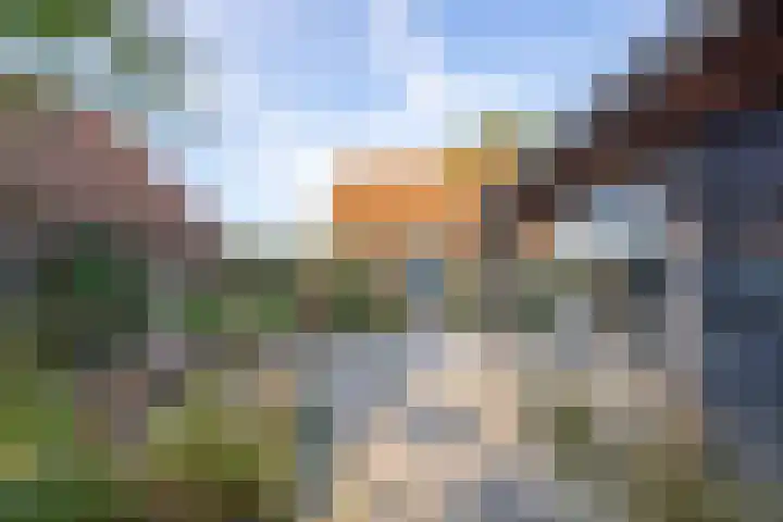 Haneman 3 Winssen thumbnail 10