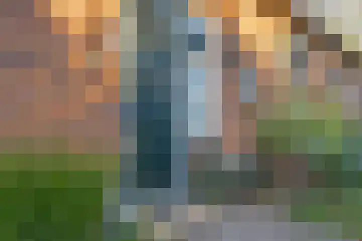 Haneman 3 Winssen thumbnail 11