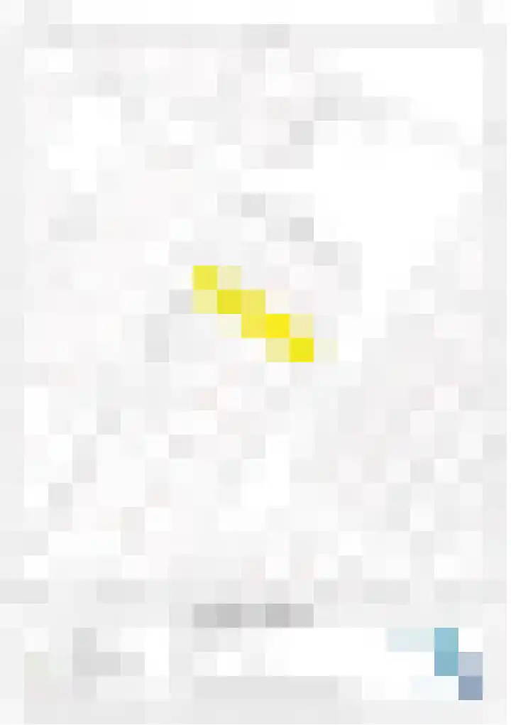 Haneman 3 Winssen thumbnail 12