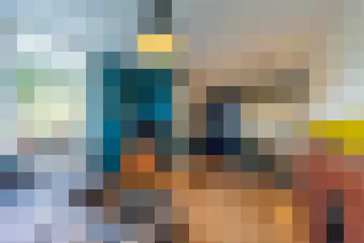 Haneman 3 Winssen thumbnail 12