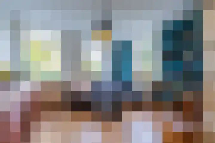 Haneman 3 Winssen thumbnail 14