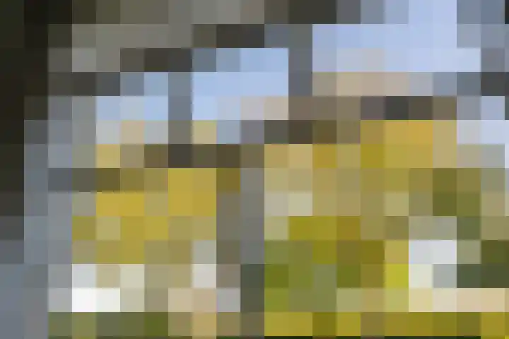 Haneman 3 Winssen thumbnail 18
