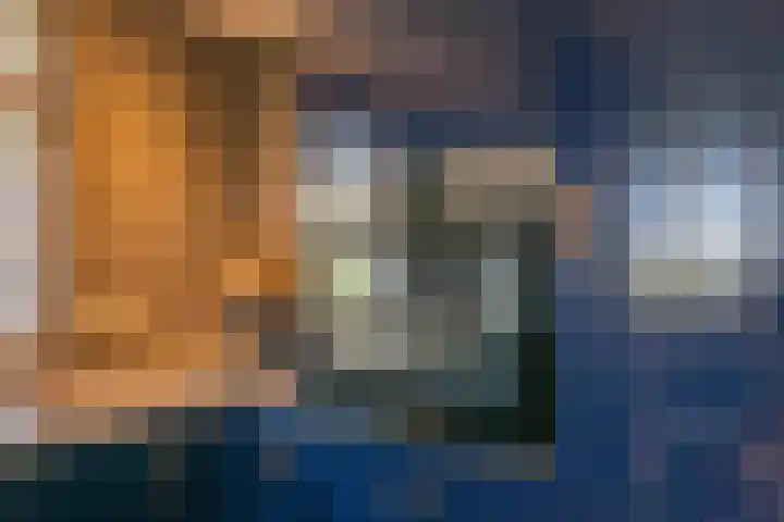 Haneman 3 Winssen thumbnail 19