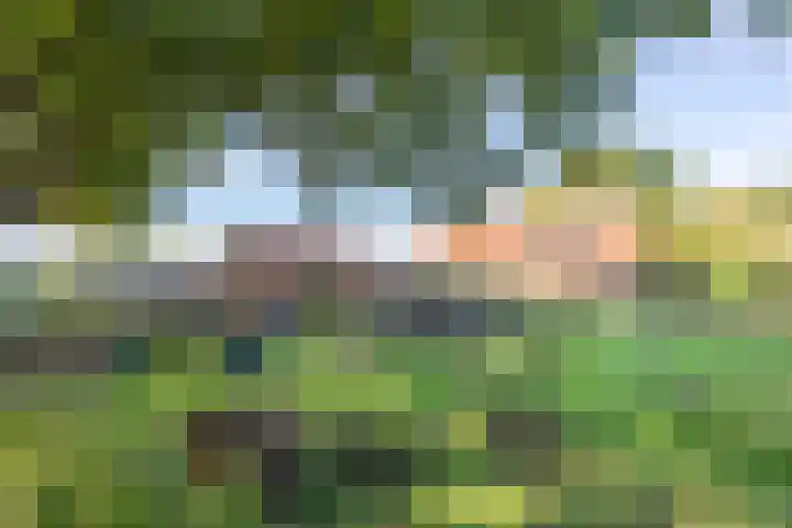 Haneman 3 Winssen foto 2