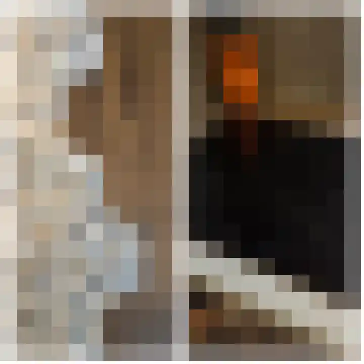 Haneman 3 Winssen thumbnail 20